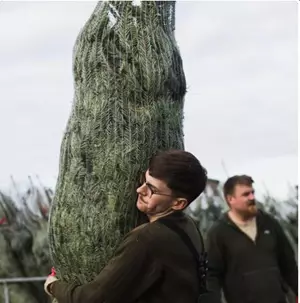 Christmas tree